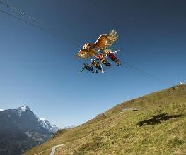 First Glider Bild 2