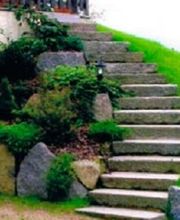 Samson Frédéric image 2