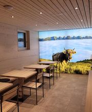 Mathis+Gerschwiler Elektro AG Bild 9