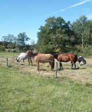 Les Sabots de Villecartier image 15