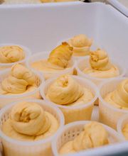 Gallery Professionale