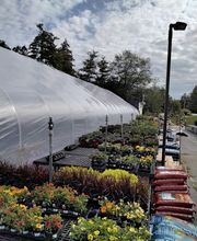 Nicole's Greenhouse & Florist image 6