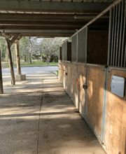 Germain Gaelle Bild 5