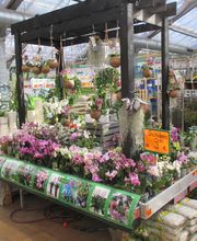 HORNBACH Altötting Bild 3