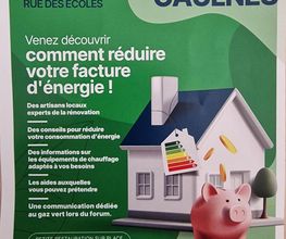 GAELEO image 1