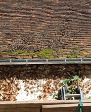 Vilbois Quentin image 3