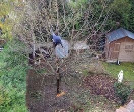 Sur Un Arbre Perché E.I.R.L image 10