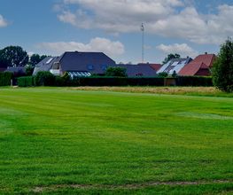 Rollrasen - Henning Hagedorn Bild 5