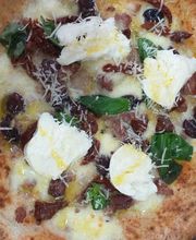 Gallery Professionale