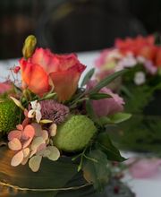 Sommerer & Co Bild 1