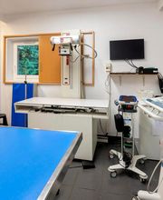 Clinique vétérinaire de La Ferté-Alais - Sevetys image 8