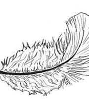 Perraud Gwenaëlle image 2