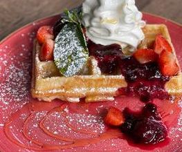 Beerenwaffel
marinierte Beeren der Saison, Vanilleeis, Spreegold's Maple Glaze, Minze, Puderzucker