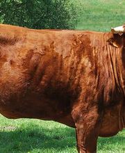 Marc Balzli - MaBa.Entreprise Sàrl Bild 5