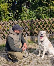 Hundeschule München-Nord