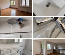 Elm Proficlean & Pflege Stanculovic Bild 2