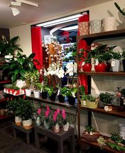 Cannelle Fleurs image 2