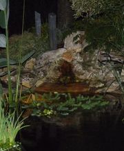 Alex Paysage image 16