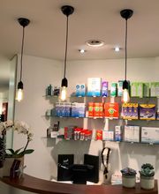 Optique Portal image 13