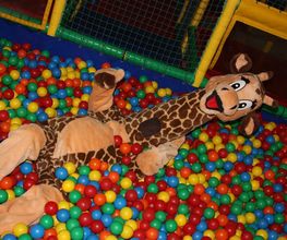 Girafou Sbs image 7
