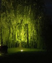 SARL Chrétien image 7