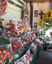 A. Pinto Fleurs Bild 7