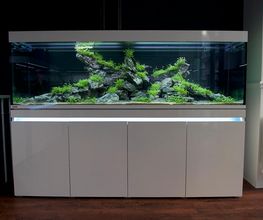 Aquarilis Paris image 12