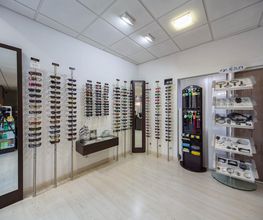 OPTIQUE DU LION image 1