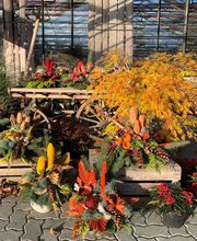 Blumengärtnerei G. Gerber AG Bild 13