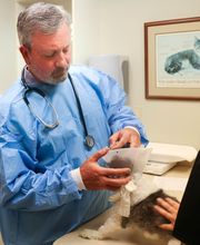 Palmetto Animal Hospital image 12