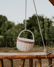 197483647-4-gLoLkd2IQp1783328839582.jpeg