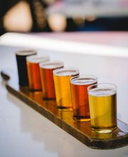 Thirsty Lion image 18