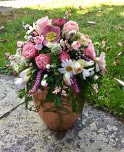 Lägere Blueme GmbH Bild 2