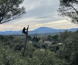 LB Paysage image 2