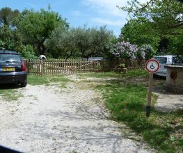 Any d'Avray image 2