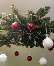 Carrément Fleurs - Fleuriste Chartres 28 - Livraison de fleurs à domicile image 4