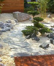 Der Grüne Baum Bild 1