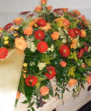 Blumen Rosenrot Bild 6