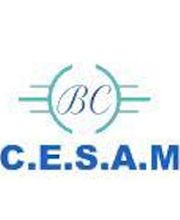 C.E.S.A.M. SARL image 2