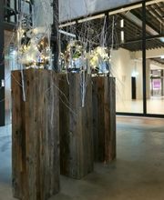 Magnolia Floristik Bild 12