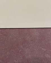 IMG_0652.jpeg