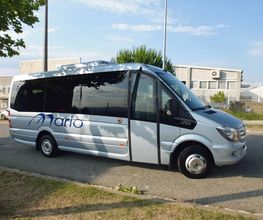 minubuses-palllars.JPG
