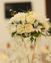 Golden Events Bild 5