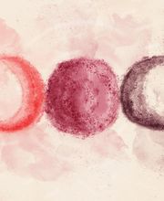 Eva Patzak - Hebamme, Doula-Seminare, Yoga & Homöopathie am Kranichhof Wildschütz Bild 9