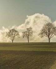 Harry Fichtner Fotostudio Bild 15