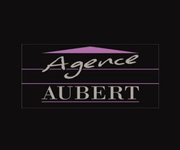 Aubert David image 6