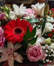 AU GRE DES FLEURS image 16