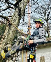 Patrick Weihe Baum + Garten Bild 1