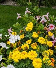 Prairie Meadows Senior Living image 12