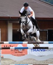 Reit- und Fahrstall Enderli Bild 11